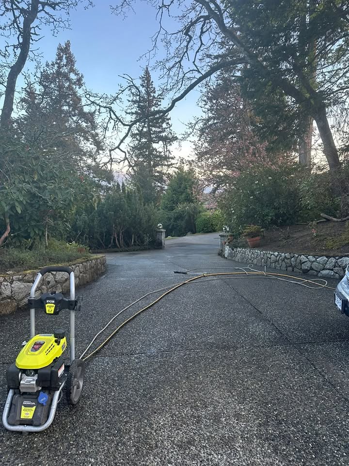 Driveway Revival after