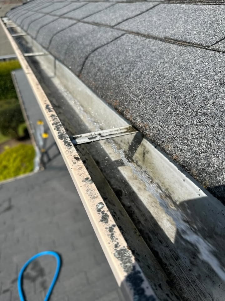 Gutter Cleaning after