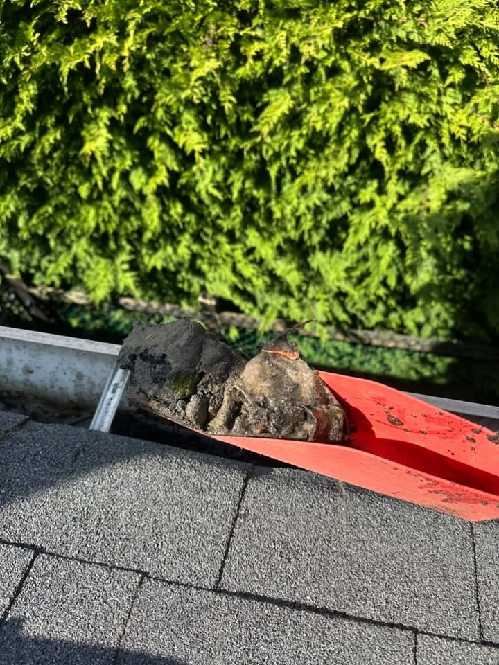 Gutter Cleaning before